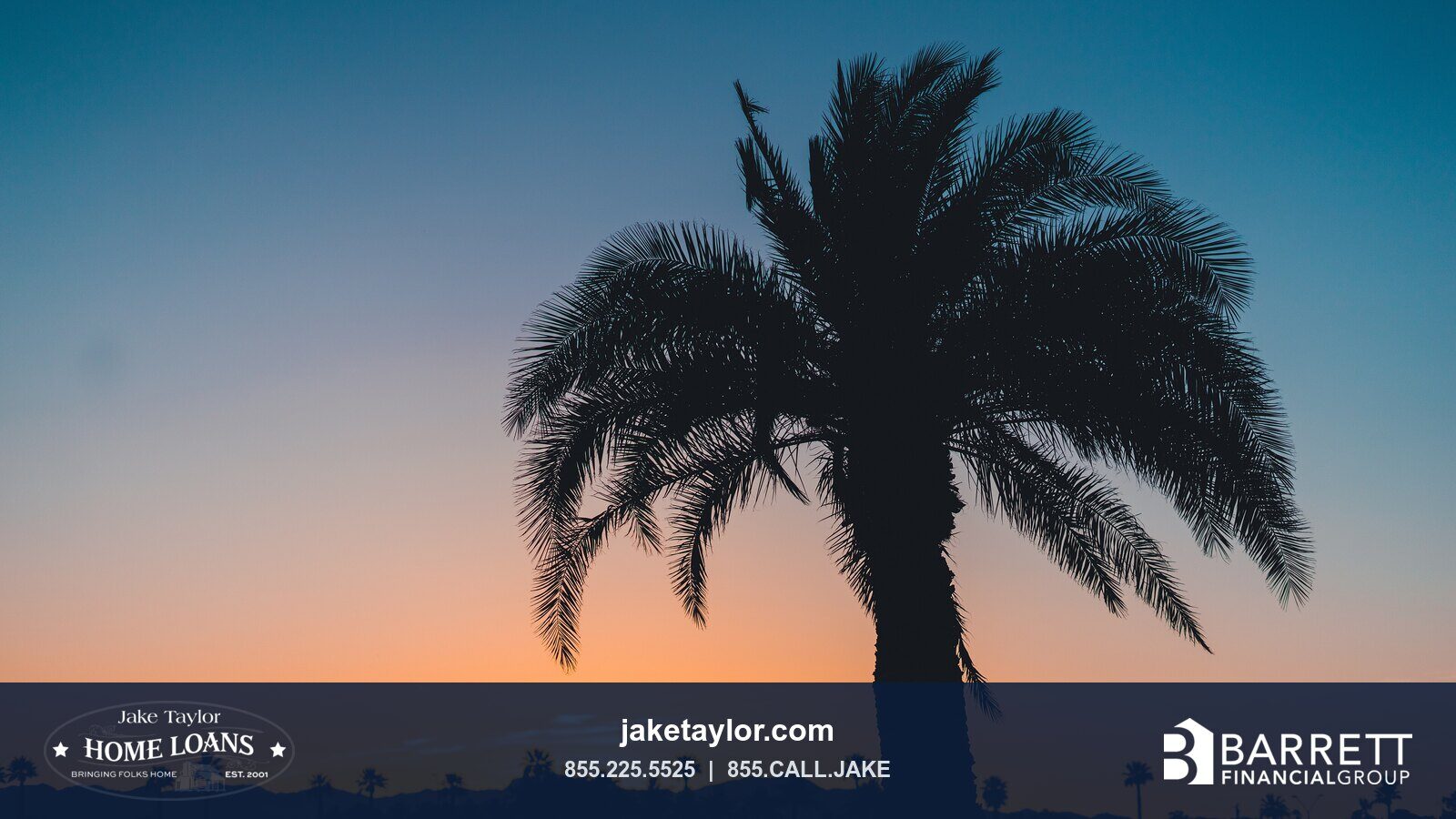 A palm tree at sunset in Goodyear, Arizona